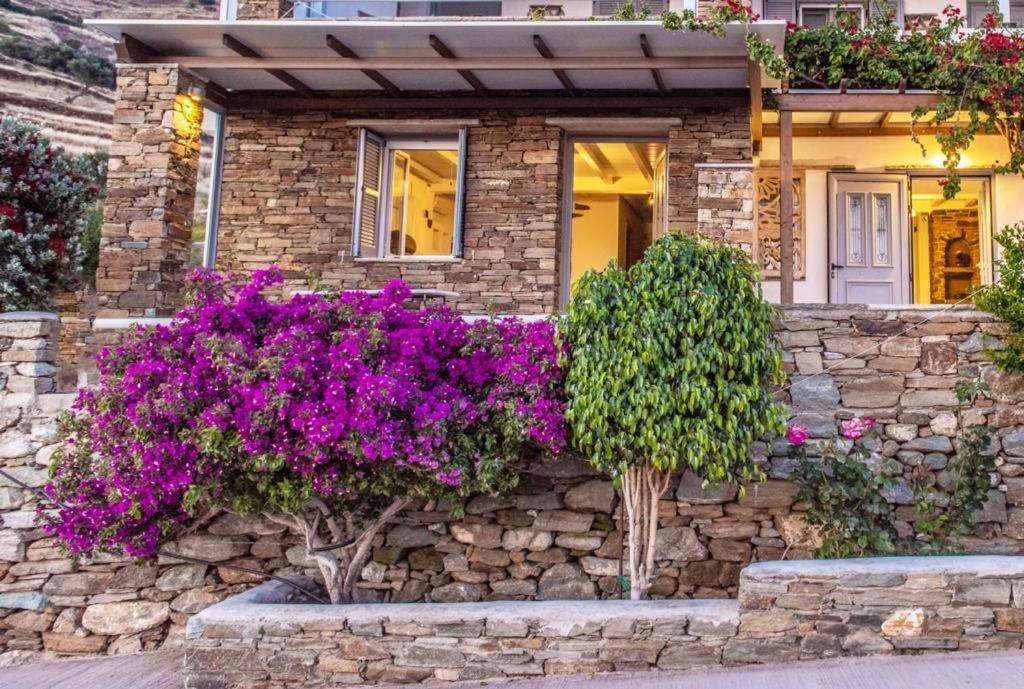 Oikia Petra Vila Agios Loannis Exterior foto